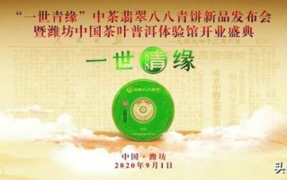 潍坊中国茶叶普洱体验馆开业盛典