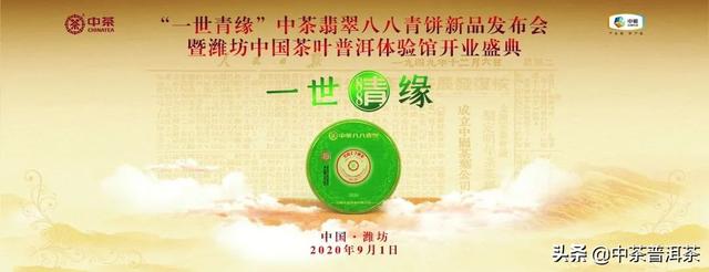 潍坊中国茶叶普洱体验馆开业盛典  第1张